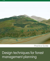 Design Techniques for Forest Management Planning